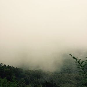 天天舔天天射天天干
