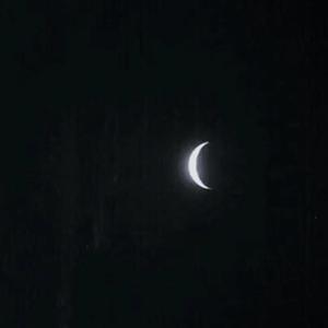 天天舔天天射天天干
